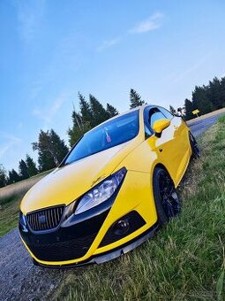 Seat Ibiza 1.6 benzín 77kW, 2009, 184 tis. km, po servisu