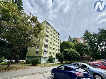 Pronájem, byt 1+1 40m², ul. Dr. M. Horákové, Písek