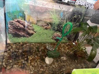 Akvárium komplet 60L