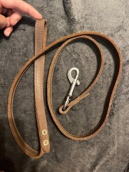 Kožené voditko + obojek
