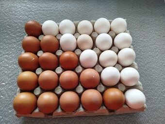 Domací vajíčka