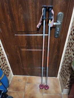 Prodám hůlky na lyže 120cm dlouhé.