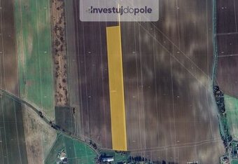 Prodej pole v k.ú. Králova Lhota u Českého Meziříčí