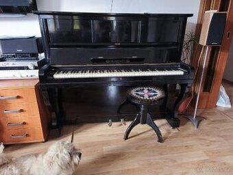 Piano Pianino Scholze