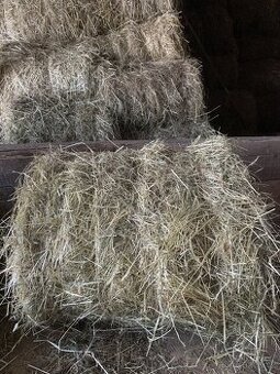Prodám seno, malé kulaté balíky