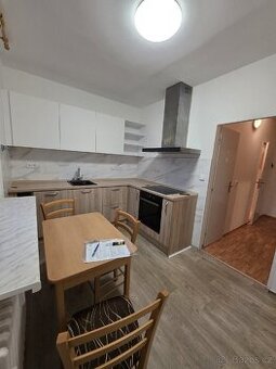 Pronájem bytu 1+1 40m2 Ústí nad Orlicí Hylváty - 1