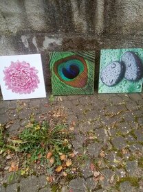 Prodám dekorační obrazy