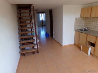 Pronájem bytu 1+1, Podnásepní, 75m2