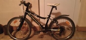 Dětské kolo Superior Paint 20"