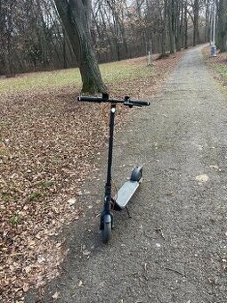 Ninebot by Segway F2 Pro E