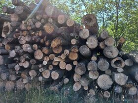 Palivové dřevo tvrdé Ústí nad Labem