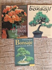 Bonsaje / Květiny