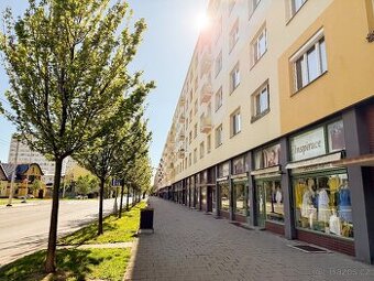 Pronájem bytu 2+1, 56 m²