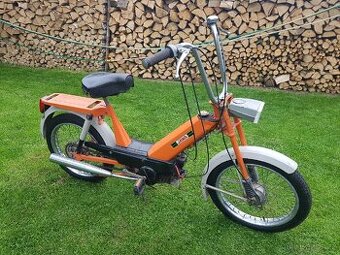 Babeta 207