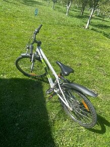 Westige junior 24"