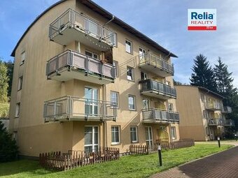 Prodej velmi hezkého bytu 1+kk s předzahrádkou v Liberci - S