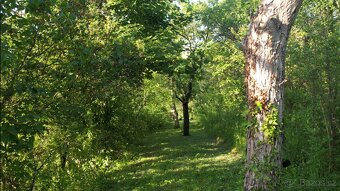 Prodej zahrady v Brně