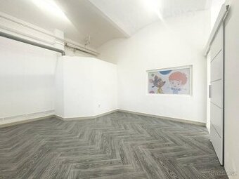 Pronájem komerční Obchodní prostory, 48㎡