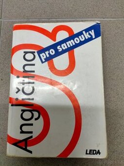 Angličtina pro samouky