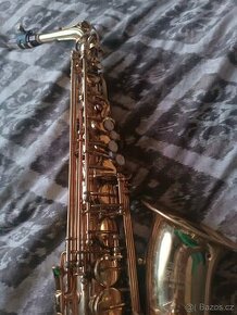 Es Alt Saxofon Roy Benson AS202 zlatolak - 1