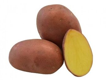 Sadbové brambory