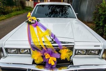 Lincoln town car
