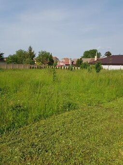 TRÁVA , SENO, ZDARMA - 1