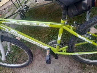 Dětské kolo Leader Fox Buffalo zelené 24"