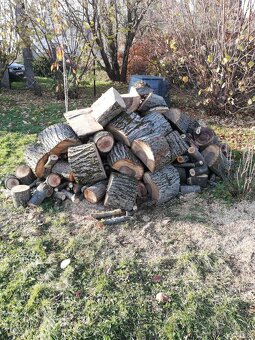 Tvrdé palivové dřevo