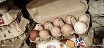 Prodám domácí bio vejce