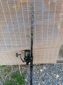 Daiwa Tele carp....