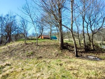Stavební parcela vč. st. povolení, louka 26 000 m2, Podhradí