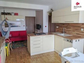 Prodej bytu 3+kk 53 m2 Družstevní, Brno