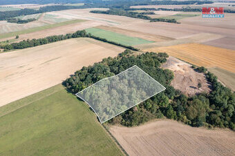 Prodej lesa, 9132 m², Panoší Újezd