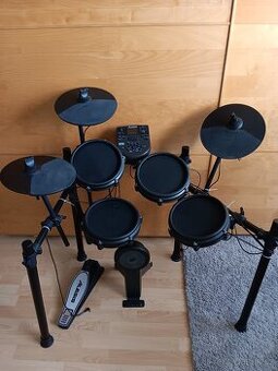 Bici Alesis
