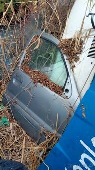 dveře a kapoty Renault Kangoo