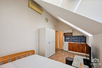 Pronájem bytové jednotky 1+kk, 20 m², Staré Město - Brněnská