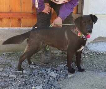 TIFANY K ADOPCI - 1 ROK, KAMARÁDSKÁ,VESELÁ,CHYTRÁ