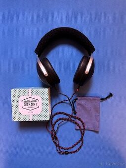 Focal Elegia