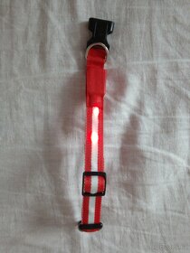 potřeby pro psy,hračky,balonky ,pelech propsa