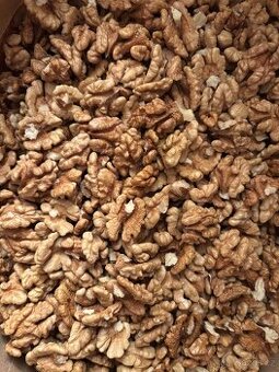 PRODÁM LETOŠNÍ LOUPANÉ VLAŠSKÉ OŘECHY