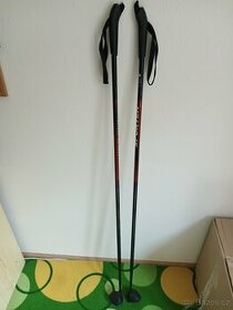 Hole na běžky 135 cm - 1