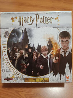 Harry Potter Rok v Bradavicích