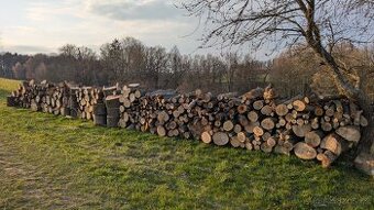 Tvrdé palivové dřevo