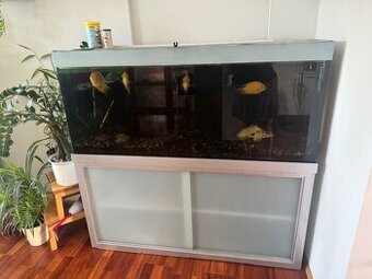 Prodám akvárium cca 500 l včetně kovové konstrukce