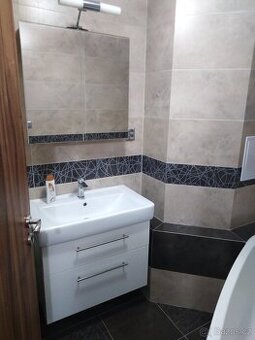 Pronajmu byt 1+1