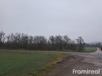 Prodej orné půdy v městečku Kuřim 4 185 m2, ev.č. 01670 - 1