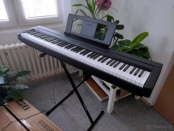 Stage piano s kladívkovou mechanikou Casio a Yamaha
