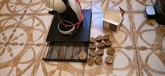 Dolce Gusto