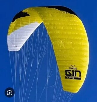 Gin Spirit 15m, 10m kite